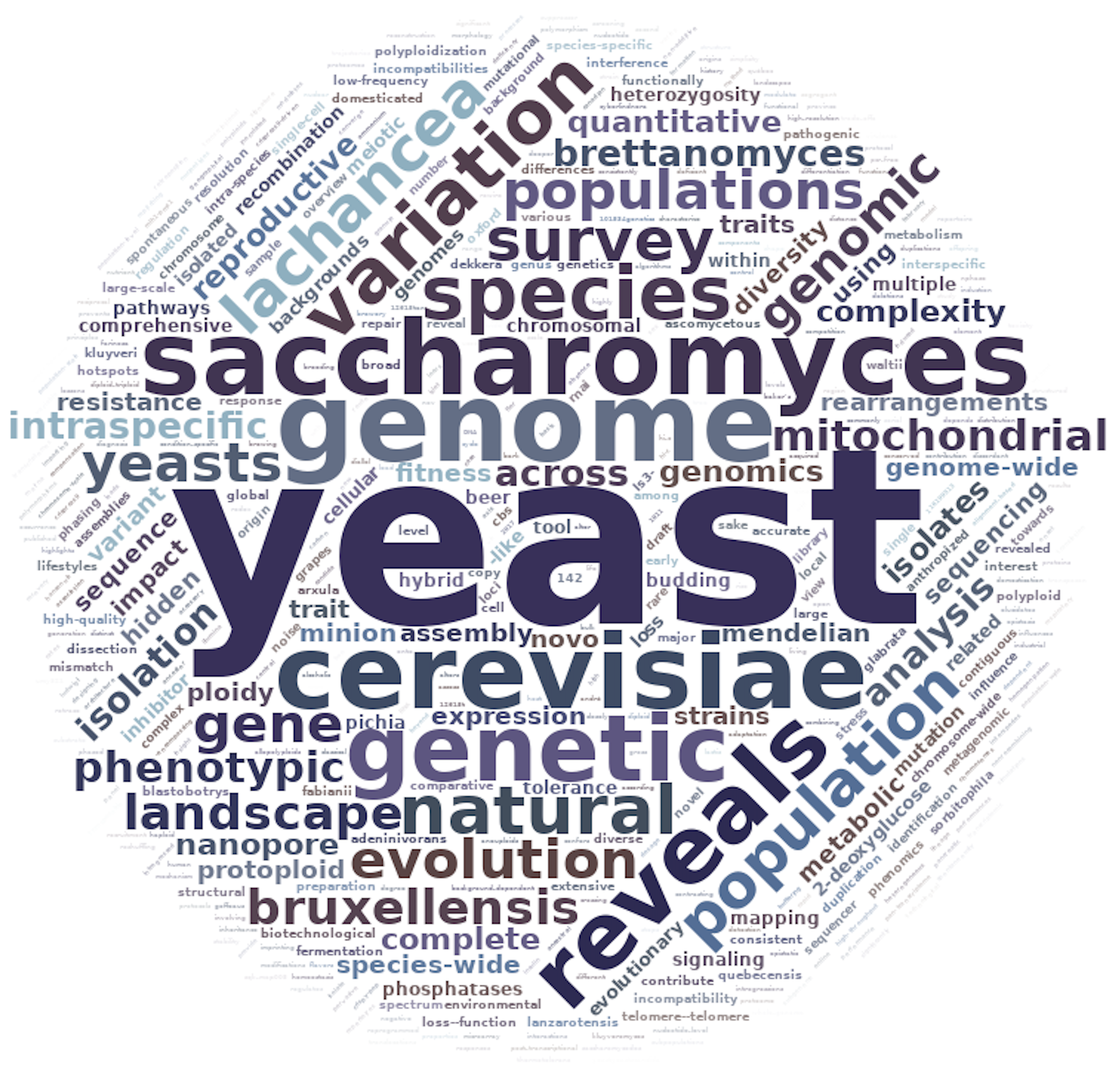 HaploTeam Wordcloud 2024