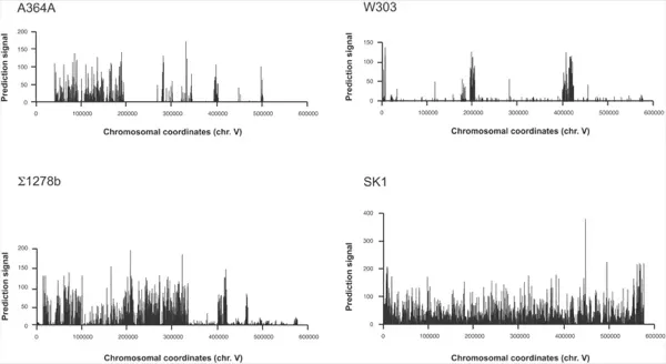 Genome-wide analysis of nucleotide-level variation in commonly used <i>Saccharomyces cerevisiae</i> strains thumbnail