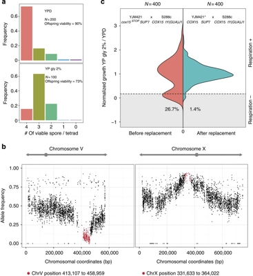 Comprehensive survey of condition-specific reproductive isolation reveals genetic incompatibility in yeast thumbnail