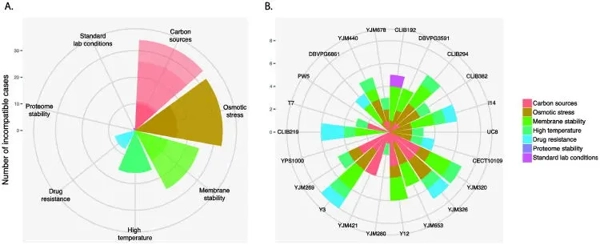 Negative epistasis: a route to intraspecific reproductive isolation in yeast? thumbnail