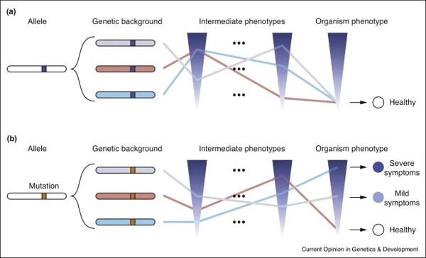 Genetic backgrounds and hidden trait complexity in natural populations thumbnail