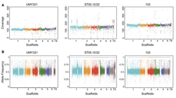 High-Quality <i>de Novo</i> Genome Assembly of the <i>Dekkera bruxellensis</i> Yeast Using Nanopore MinION Sequencing thumbnail