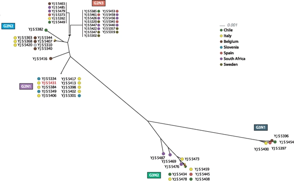 High Complexity and Degree of Genetic Variation in <i>Brettanomyces bruxellensis</i> Population thumbnail