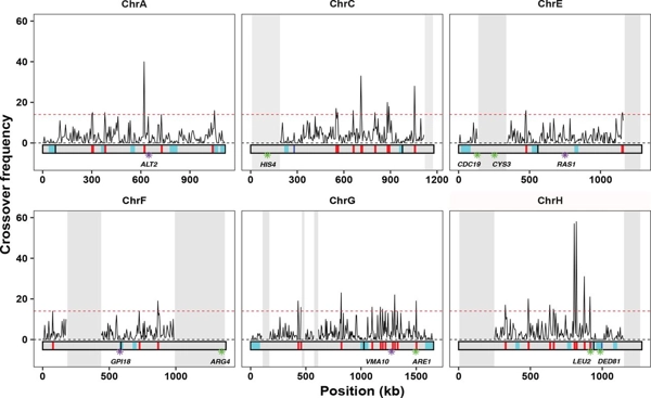Lessons from the meiotic recombination landscape of the ZMM deficient budding yeast <i>Lachancea waltii</i> thumbnail