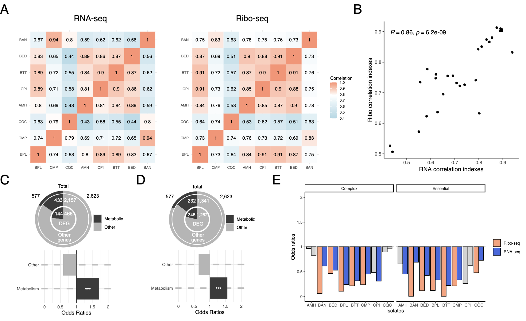 Translation variation across genetic backgrounds reveals a post-transcriptional buffering signature in yeast thumbnail